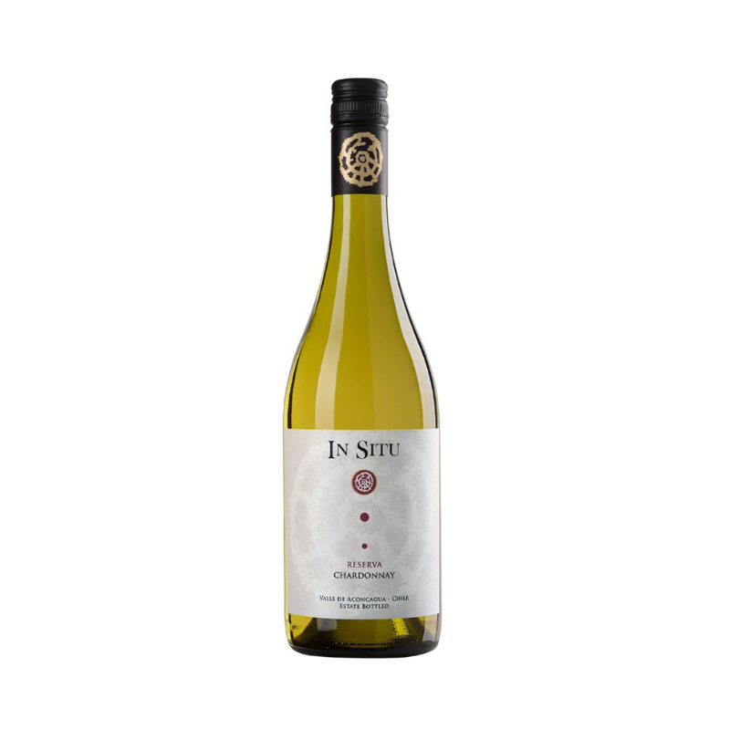 Witte-Wijn-In-Situ-Reserva-Chardonnay-Aconcagua-Valley-Viña-San-Estaban-Chili