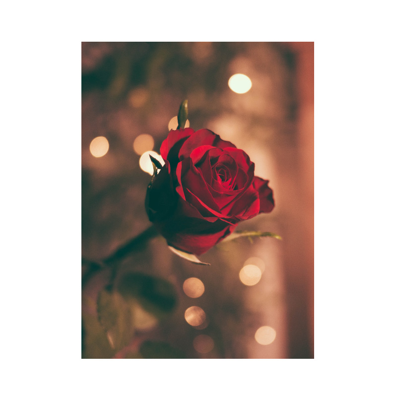 Banner Valentijn